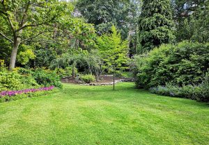 Optimiser l'expérience du jardin à Longeville-sur-Mer