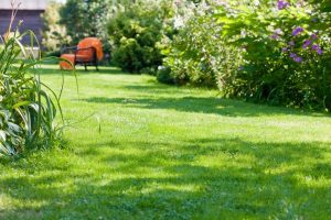 travaux jardin et paysage Longeville-sur-Mer